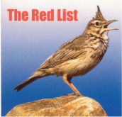 Dalziel and Scullion