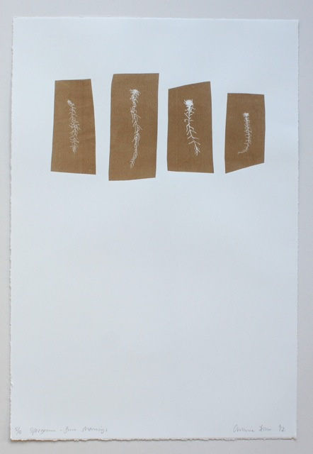 Caroline Dear, Spahgnum, 2012