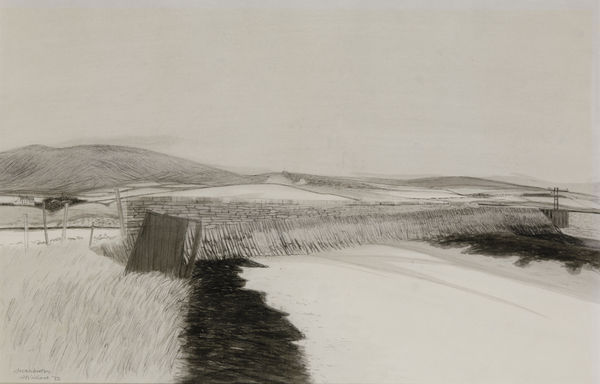 Sylvia Wishart RSA, Swanbister, 1972