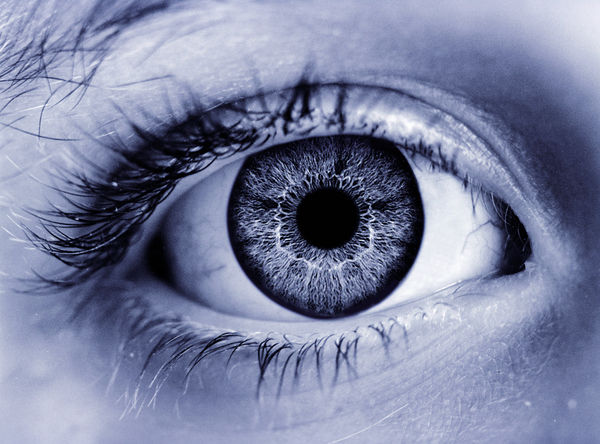 Annie Cattrell Far Flora