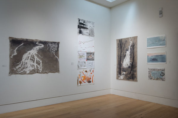 Lower Galleries Autumn 028