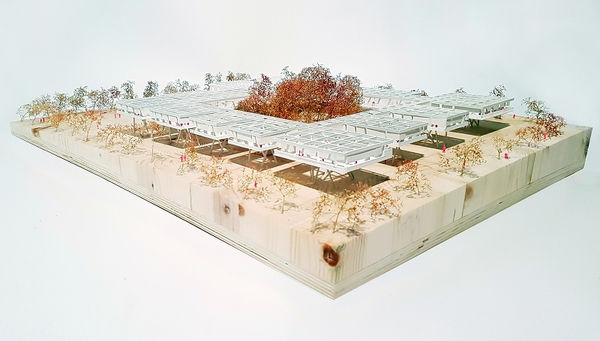 Ross Robinson, 1.200