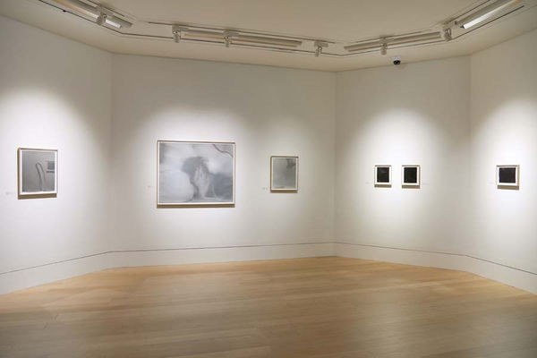 SUMMA, photo: Chris Park