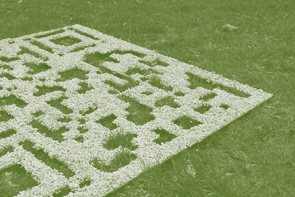 Lily Hassioti, Garden of Evolution 2