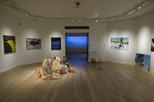 Install Images Douglas Mccaffrey 18