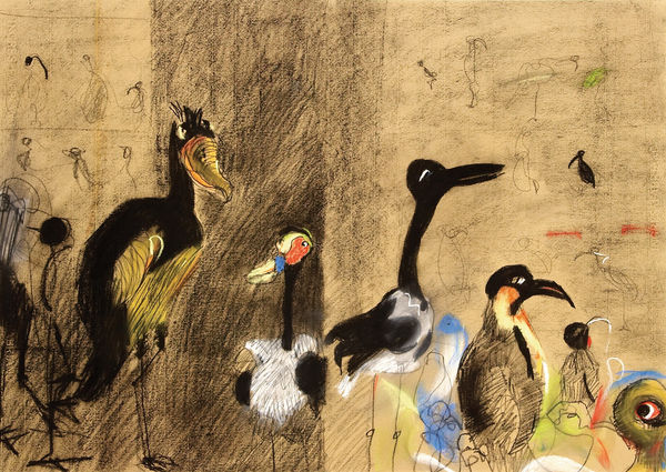 Freya Pocklington, Birds at La Specola, 2006