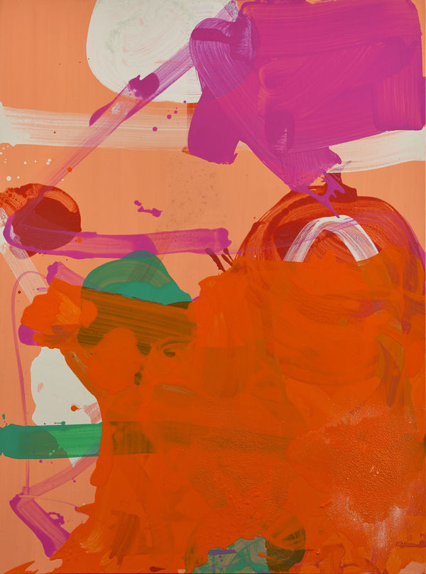 Stewart Geddes HRSA - CACESU