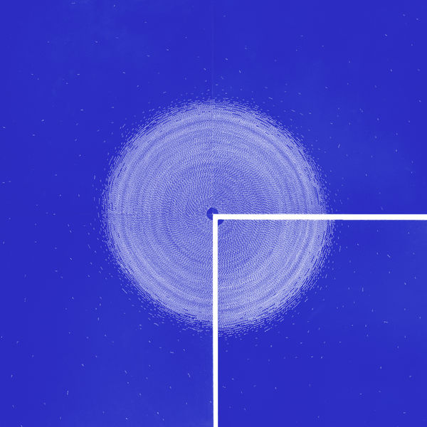 RSA New Contemporaries 2025