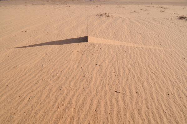 191st RSA Annual Exhibition