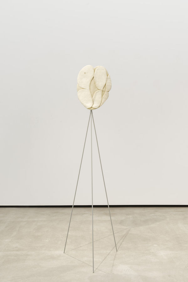 Manuel Caldeira, Sans Titre (Orelha quebrada) IX, 2024