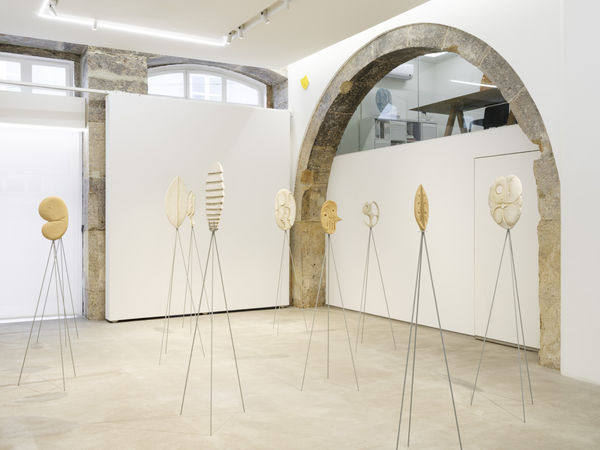 Manuel Caldeira Orelha Quebrada