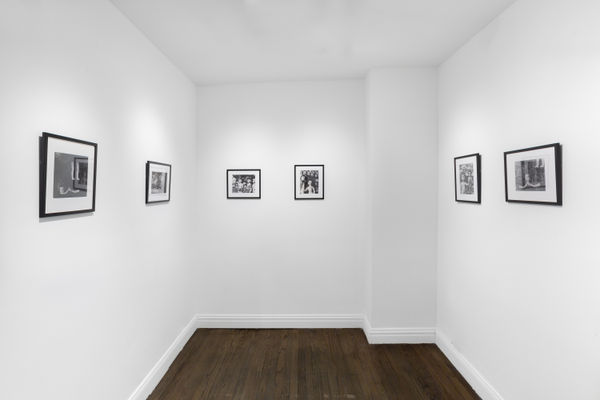 Ruiz Healy 20230308 O0A8068 1