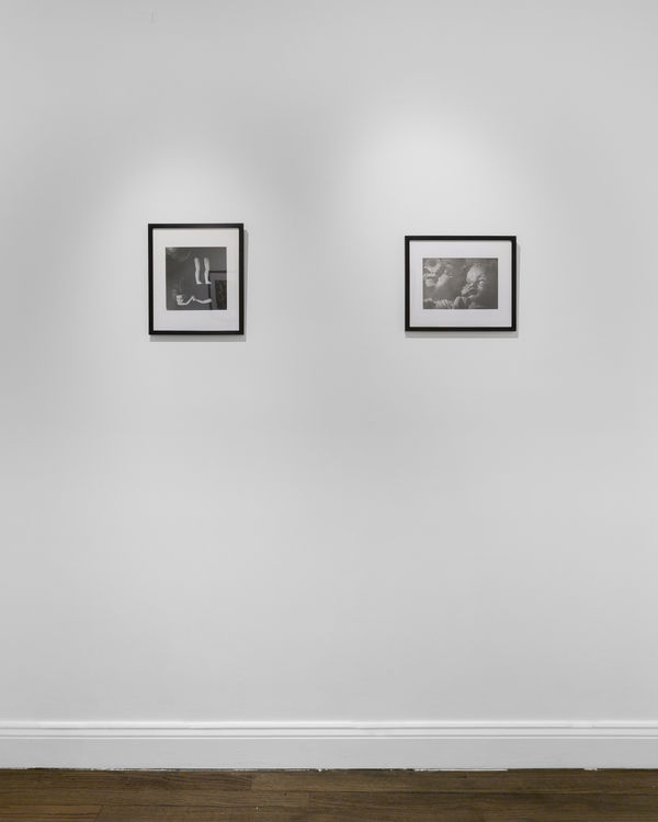 Ruiz Healy 20230308 O0A8083 1