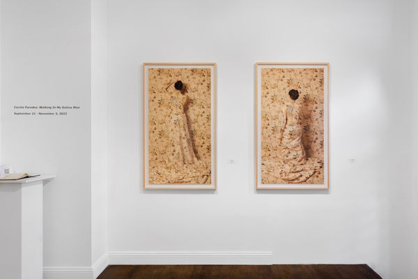 Installation images by Daniel Terna