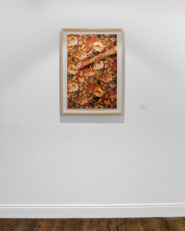 Installation images by Daniel Terna