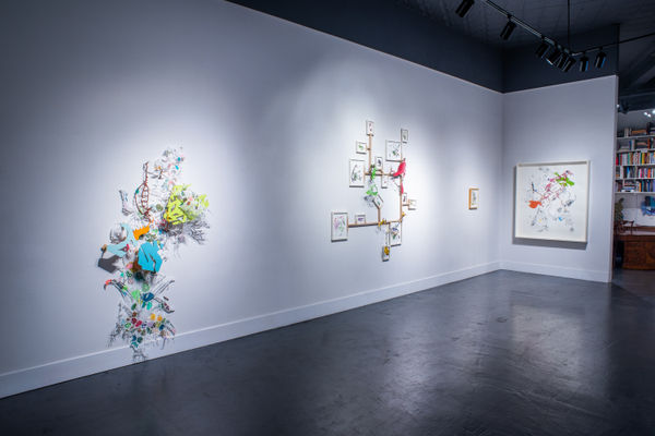 Installation photos by Charlie Kitchen