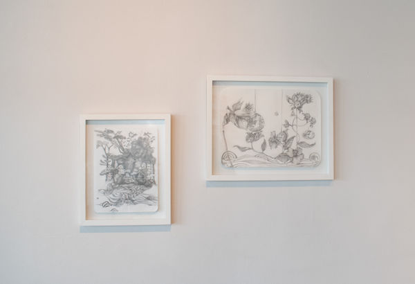 Installation Images by Yadira Silva