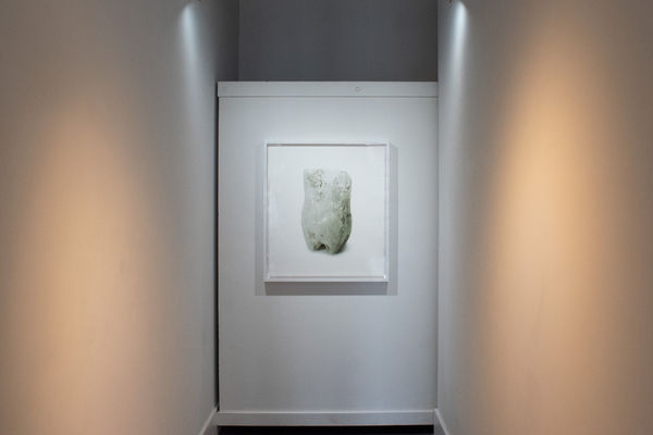 Installation Images by Yadira Silva