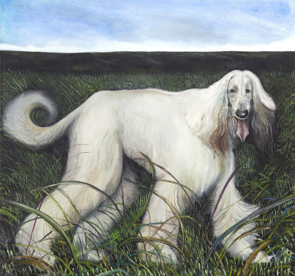 Alessandro Miotti - Do you love me?, 2025