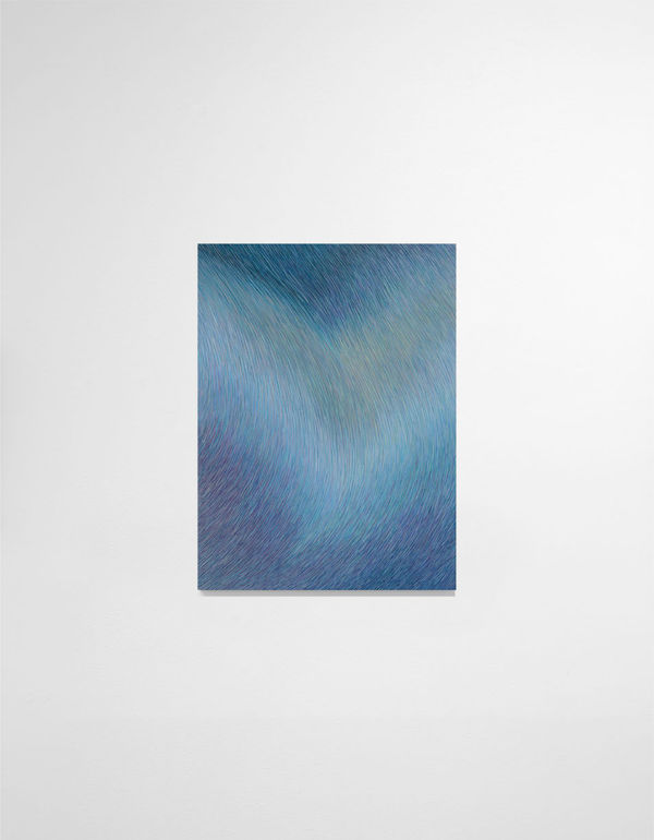 Anastasia Komar, Periostracum, 2021