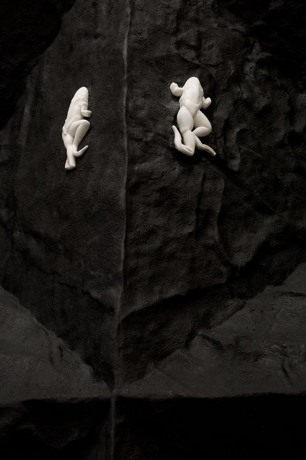 Fiona Abicare, The Alien Quartet , 2016 (detail)