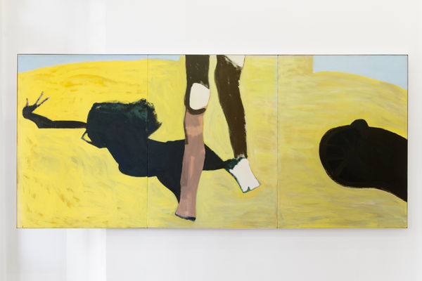 Lou Hubbard, Untitled (Landed), 1993