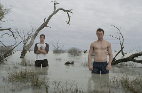 Cate Consandine, Cut Colony, 2012