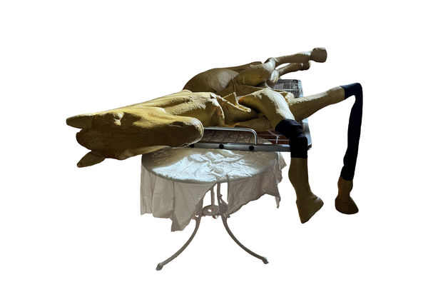 Lou Hubbard: Grill felt lamb