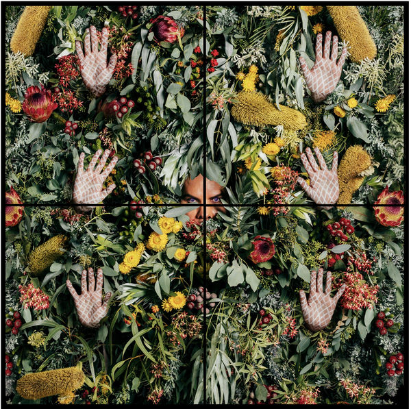 Christian Thompson, Rule of Three, chromogenic prints, 250 x 250 cm