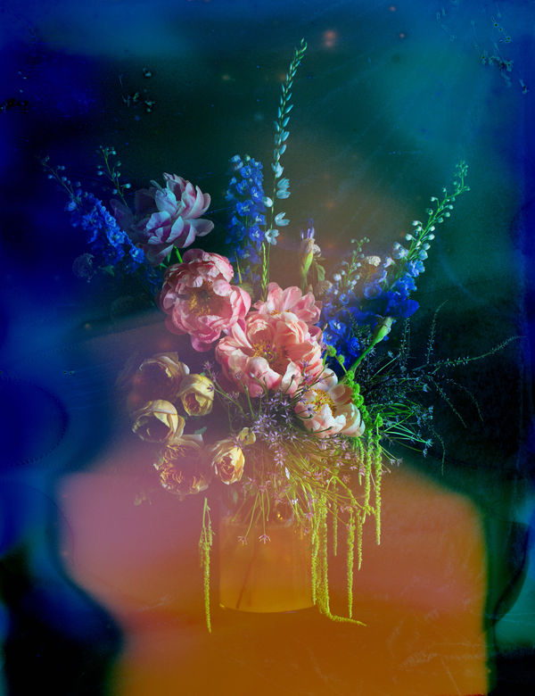 Jake Preval in Coded Blooms I Flowers have never been innocent, Museum of Australian Photography I MAPH, 7 March to...