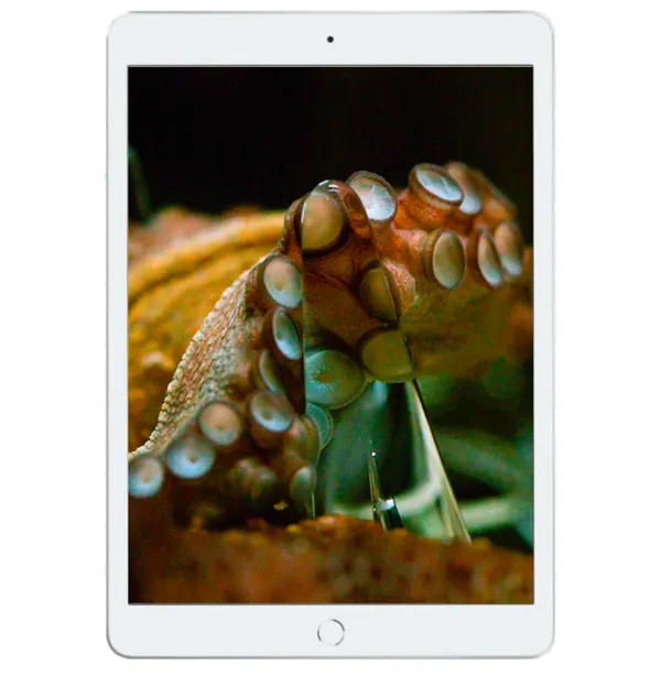 Image 2: Photographs by Ryan Wheatley; Image 1: Installation view 'Hybrid Futures,' Artbank Melbourne 2026. Photo by Christian Capurro.