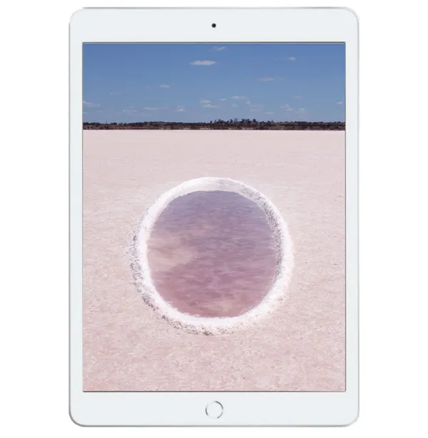 Quantum Field is a temporary performative site specific work at Lake Crosbie in Murray-Sunset National Park, Australia, that plays on perspective, mass and collapse of scale in which basic units of the human navigation are challenged. In this work a posthuman mode of being is being explored over 3 days in dialogue with the environment. The sculpture is created by salt crystals from the lake, and the lake is in turn revealed to itself. Measuring at 11m long and 3m wide, the sculpture changes from a circle to a line when viewed from different perspectives and characteristic alter when exposed to heat, rain and wind throughout the seasons. In creating a piece that will continue to interact and evolve over time beyond human control, we open up to the unknown, entangling ourselves with nature.