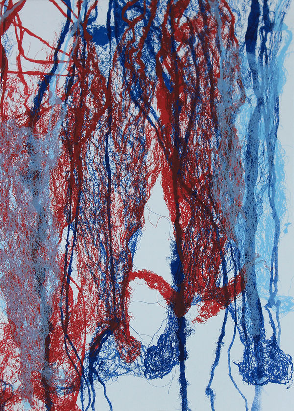 Anushiya Sundaralingam’s Root at Belfast