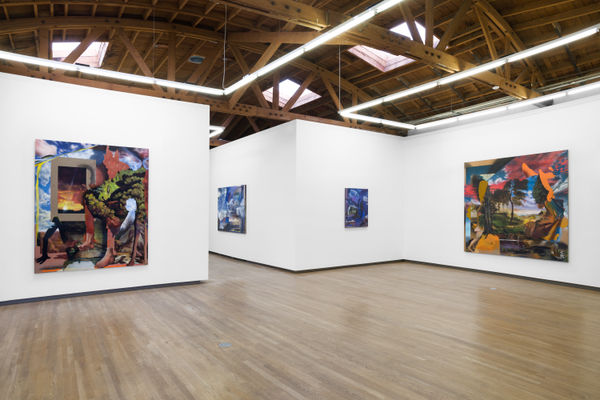 Annie Lapin Contours of the Vast