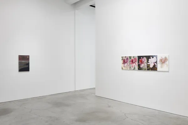 Group Installation View Sjco 5 2024 18