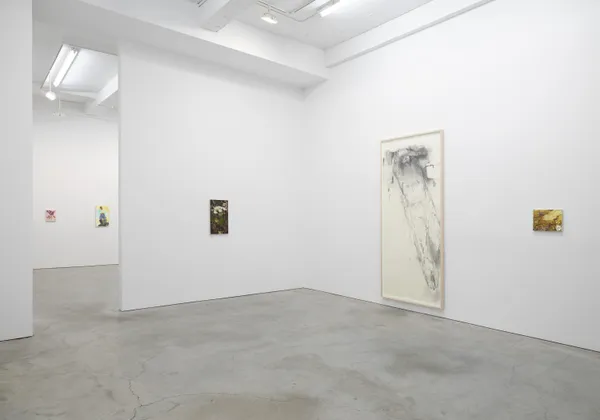 Packer Sjco 12 2015 1