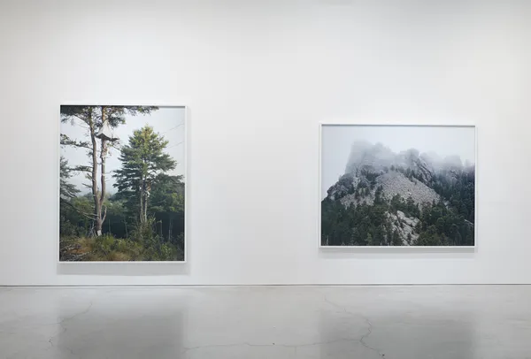 Epstein Installation View Sjco 9 2019 5