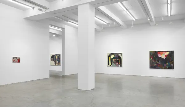 Goodman Installation View Sjco 1 2023 7