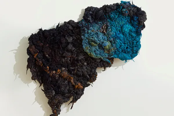 Dana Barnes - RUPTURED (Out of the Blue), 2026