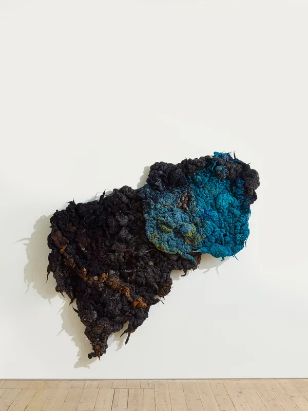 Dana Barnes - RUPTURED (Out of the Blue), 2026