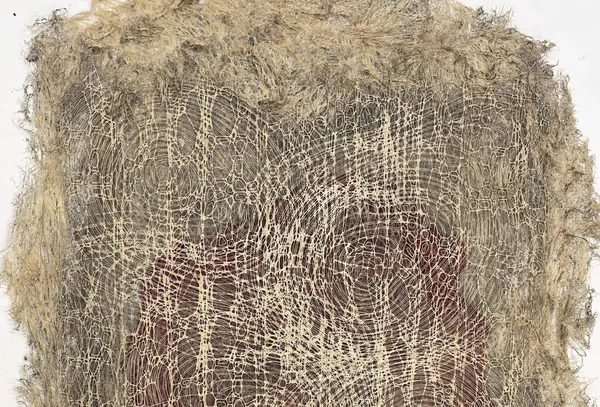 Diana Scherer - Apical #3, 2024