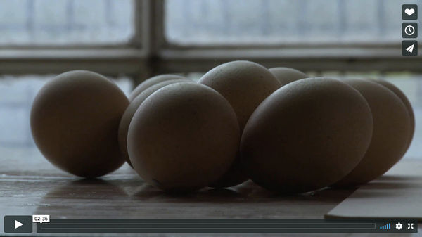FRAME FOUNDRY / COMHGHALL CASEY FILM, Short film by Gregory Dunn