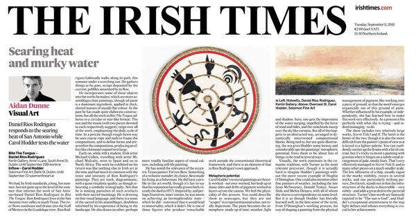 CAROL HODDER IRISH TIMES REVIEW, Aidan Dunne