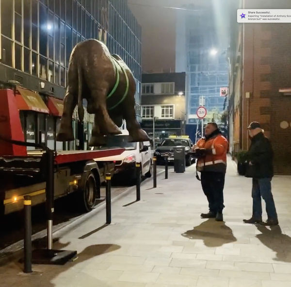 ANTHONY SCOTT INSTALL, Life size bull delivered for new solo show