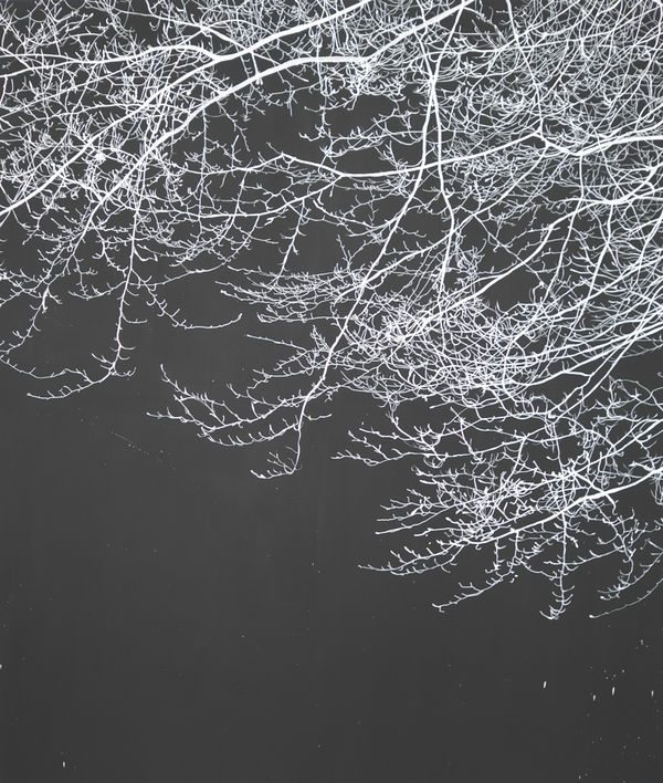 Fire filled the sky 2015