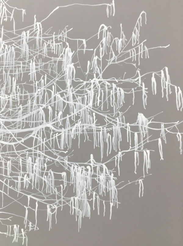 Follow the wind 2016