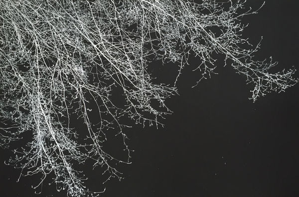 My shining hour 2015