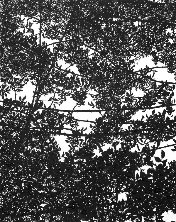 The sky is burning 2014