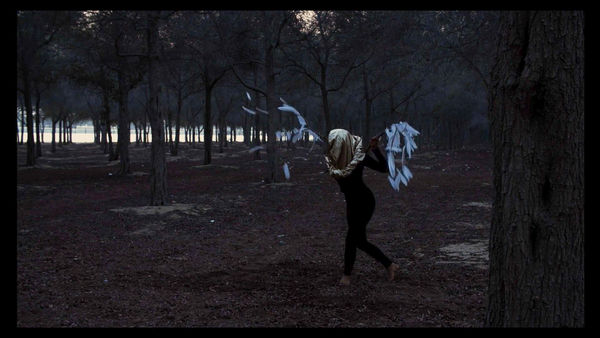 Flying Closer to the Sun (2021), Performance, 2021, for La Biennale di Venezia