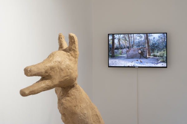 Orbistertius Exhibition La 70